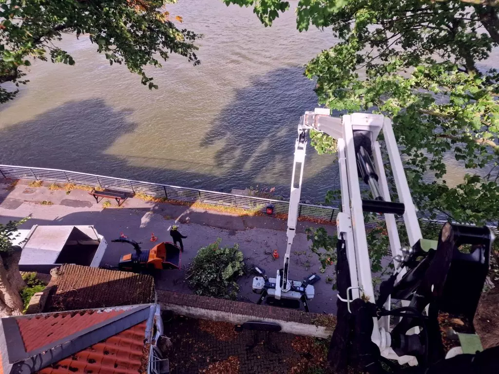 Baumpflege-Einsatz mit Häcksler in Ratingen