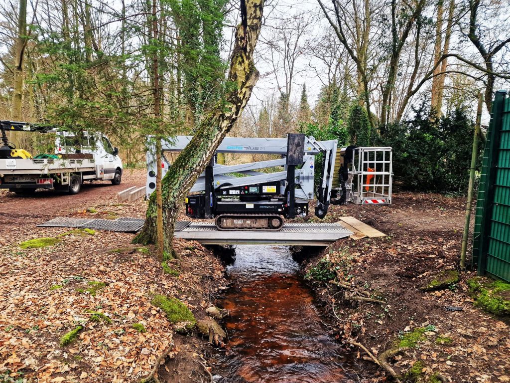 Baumpflege im schwierigen Gelände in Ratingen