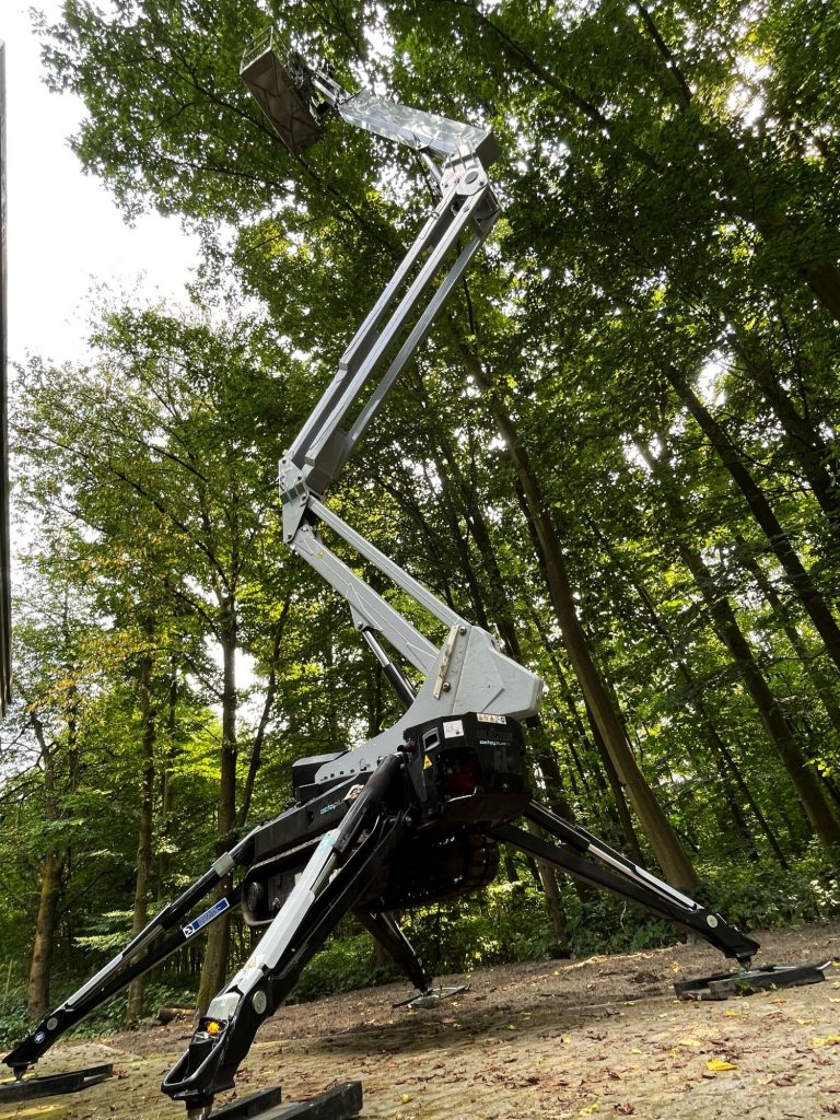 Baumpflege mit Raupenarbeitsbühne in Ratingen